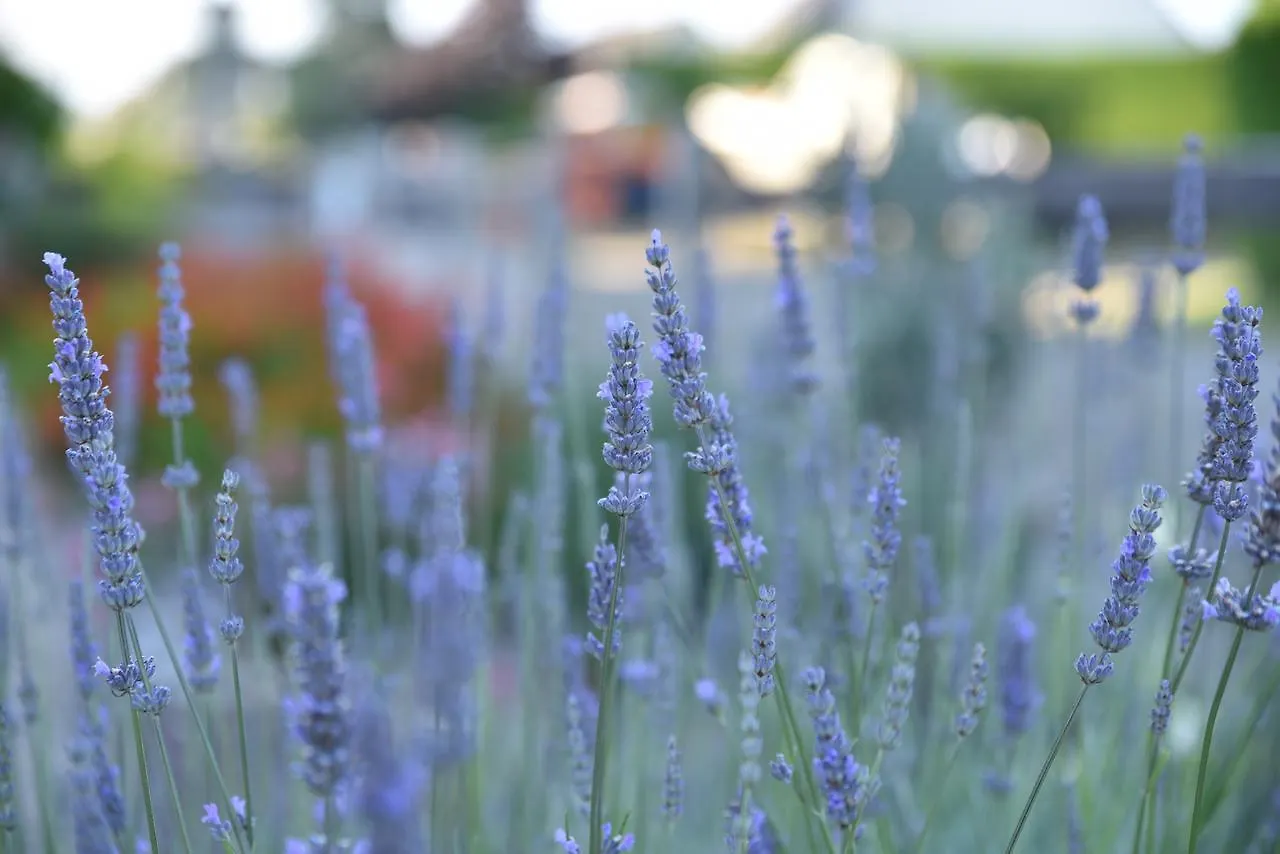 Bed & Breakfast Petite Emeraude Cancale France
