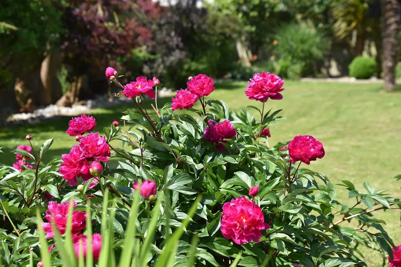 Bed & Breakfast Petite Emeraude Cancale